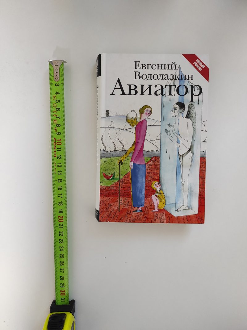 Евгений Водолазкин "Авиатор" — изображение 2